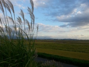 夕方の田園風景