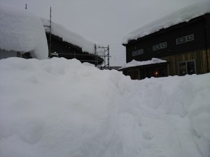 雪が降りました