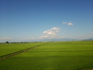 空気をシーンで伝える