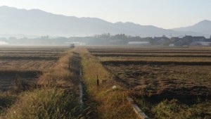 朝靄の景色