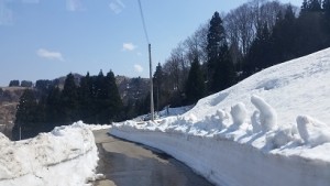 林道の除雪