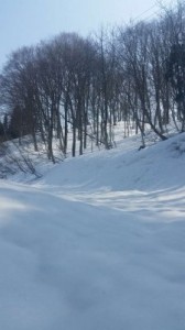 山の雪融け