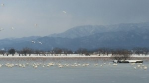 越後水原