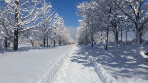 晴れの雪景色写真