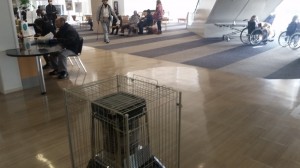 異例の寒波対策