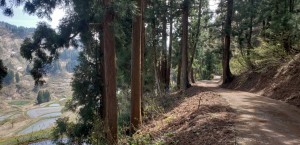 連休前小千谷の山風景