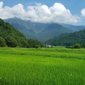 八海山、魚野川