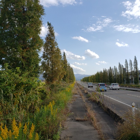 国道17号長岡バイパス 平澤建築事務所