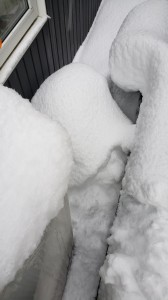 緊急！除雪確認です。