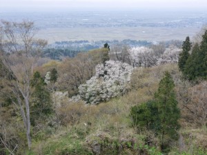 護摩堂山